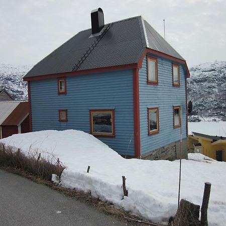 הוילה The Blue House, Røldal מראה חיצוני תמונה
